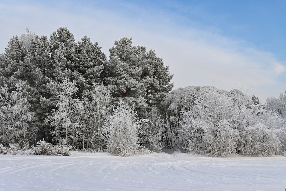 Photograph by Светлана Вербицкая