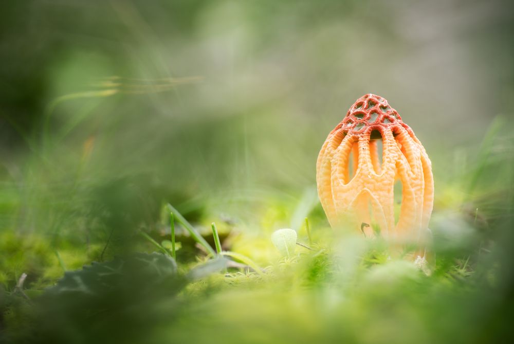 Фотография автора Panagiotis Dalagiorgos