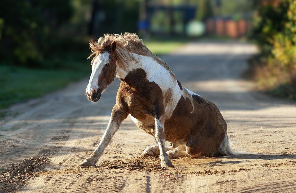Photograph by Васенков Геннадий