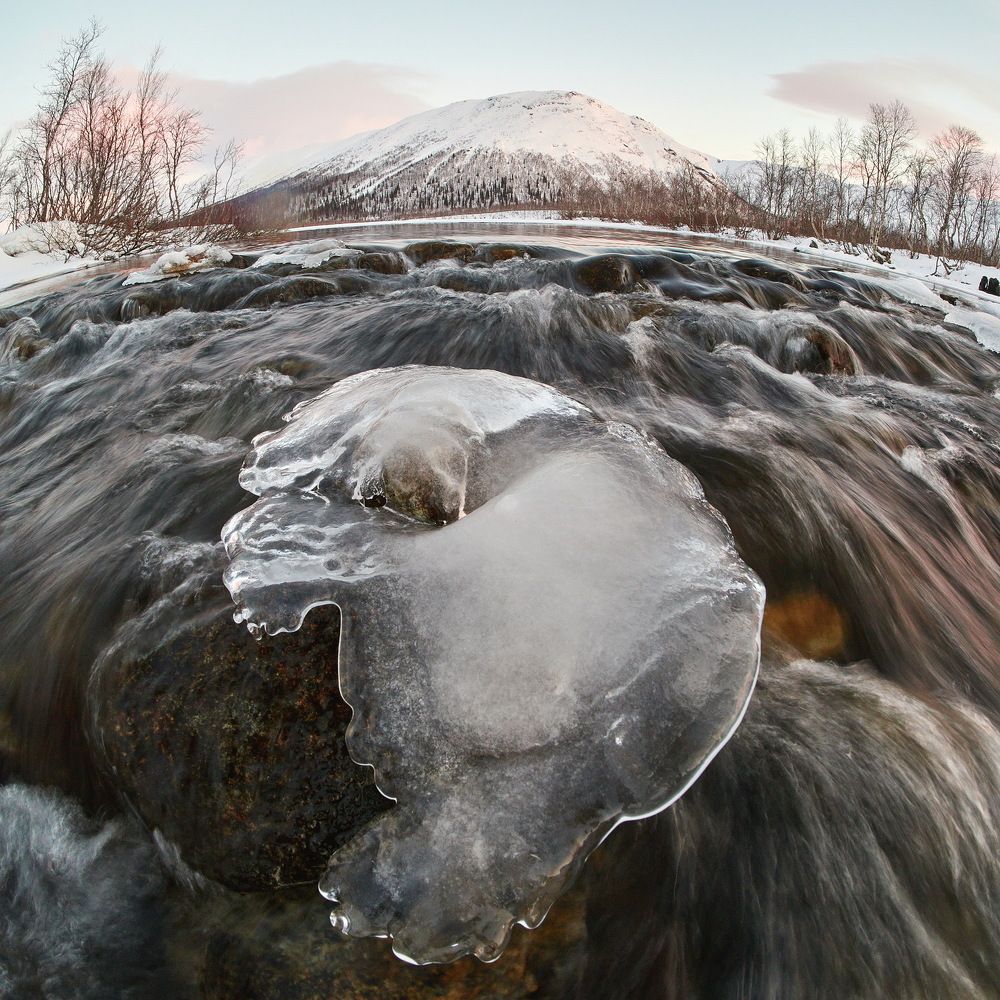 Photograph by Александр Авдушев