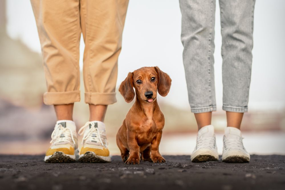 Фотография автора Ana Sánchez