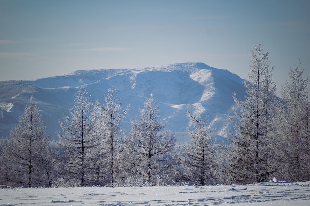 Photograph by Irina Luidinshina