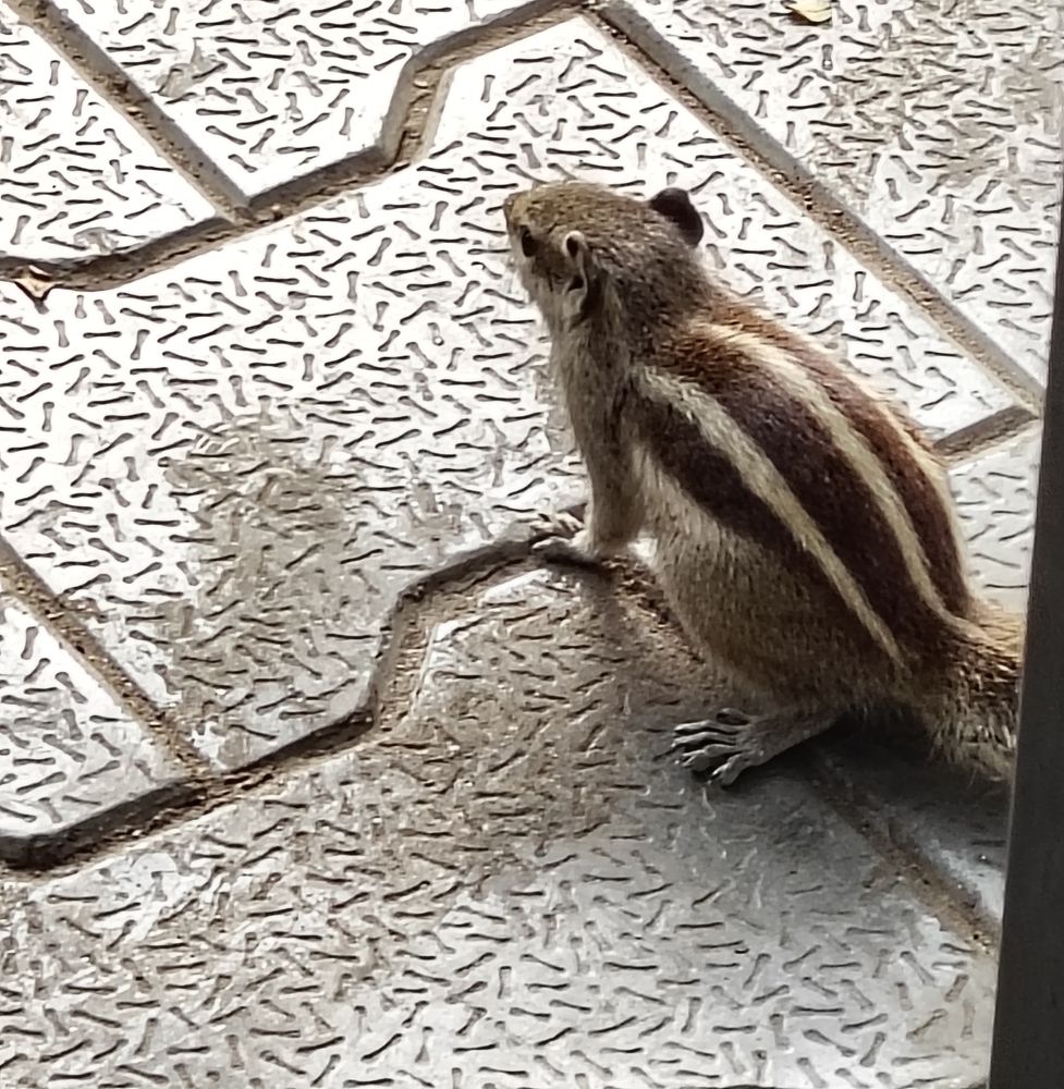 Photograph by Ankit Kumar