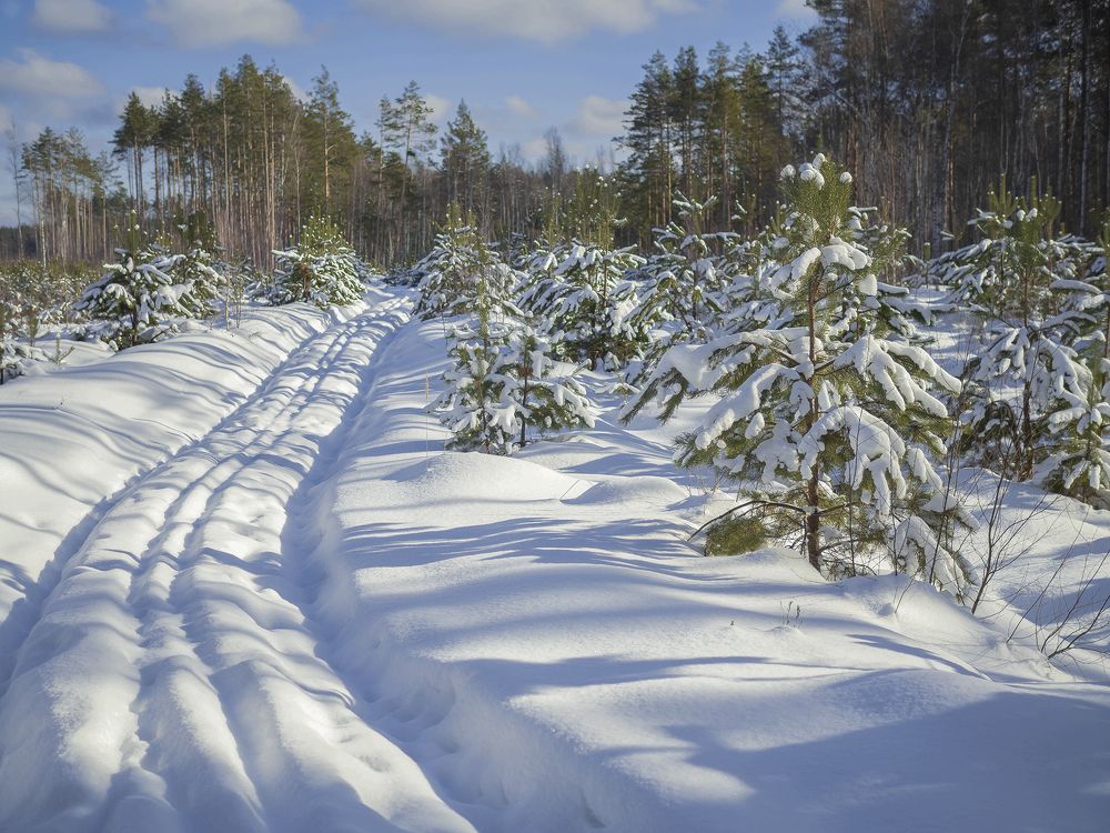 Photograph by Evgeniy Prokoptsov