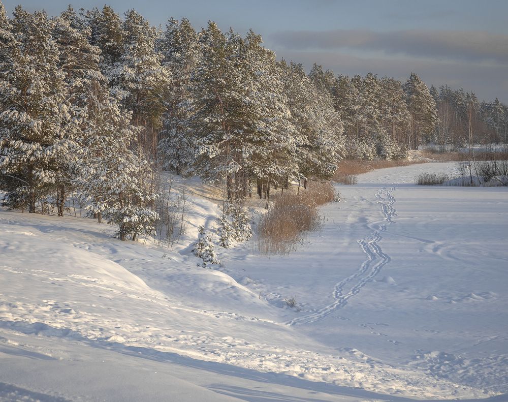 Photograph by Evgeniy Prokoptsov