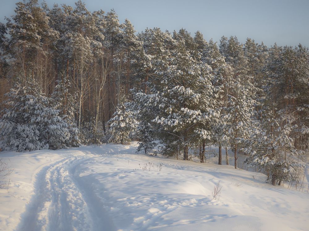 Photograph by Evgeniy Prokoptsov