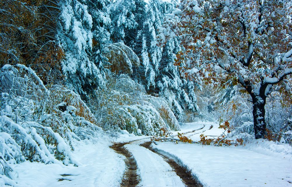 Photograph by Александр Трошин