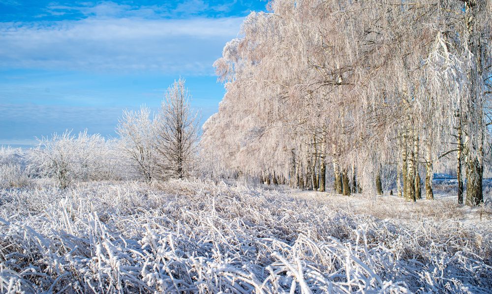 Photograph by Александр Трошин