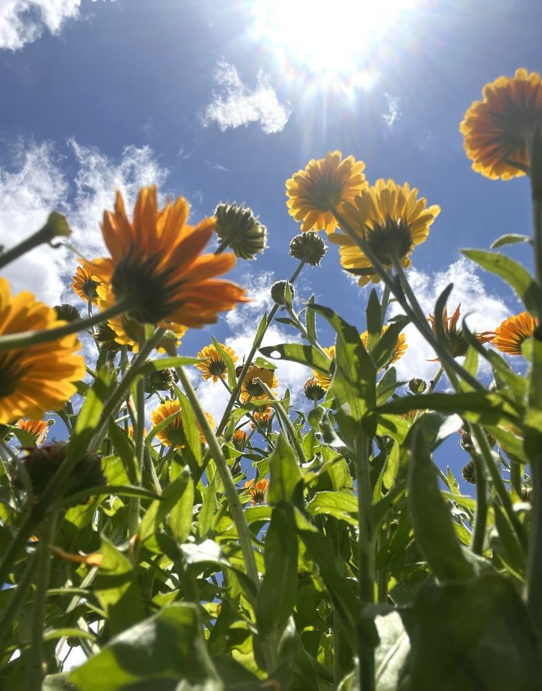 Photograph by Anna Tkacheva