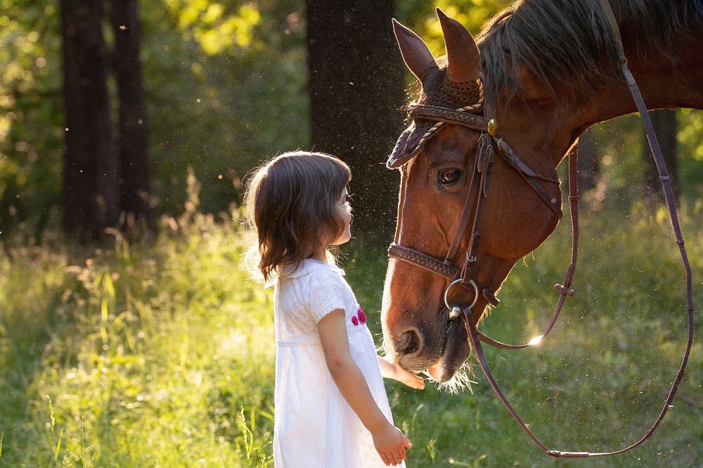 Photograph by Рыбин Сергей