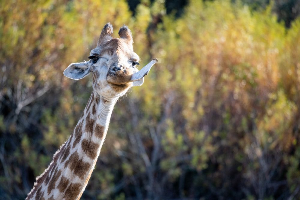Photograph by Raquel de Castro Maia