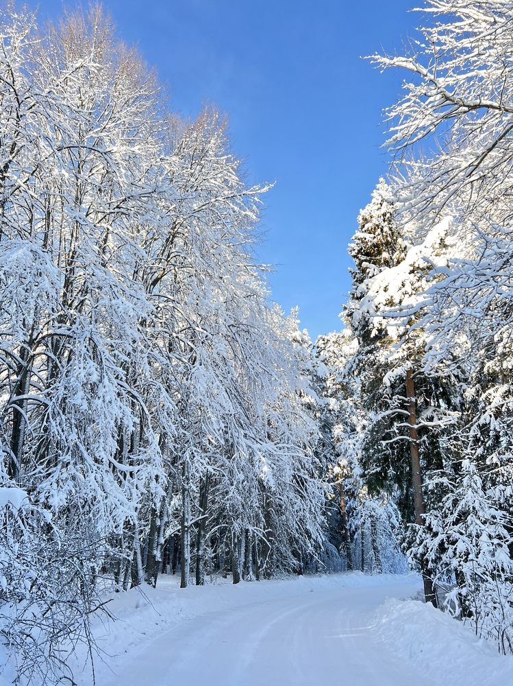 Photograph by Вероника Алатырева