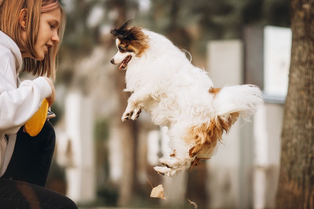 Photograph by Ангелина Ледовская