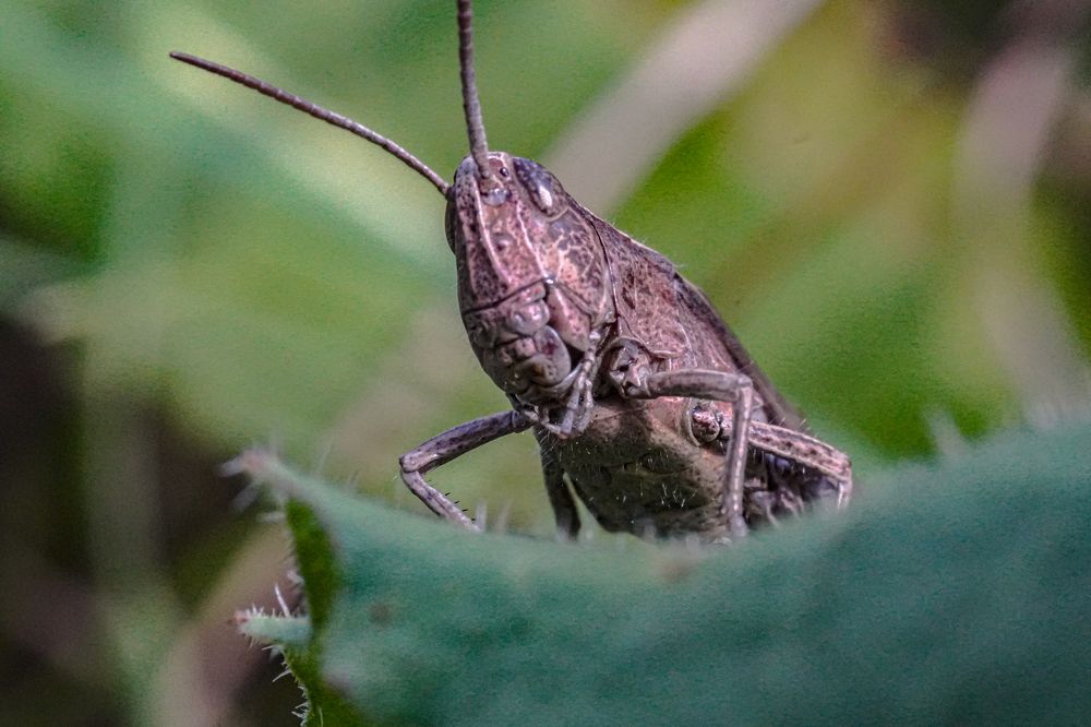 Photograph by Алфия Бугакова