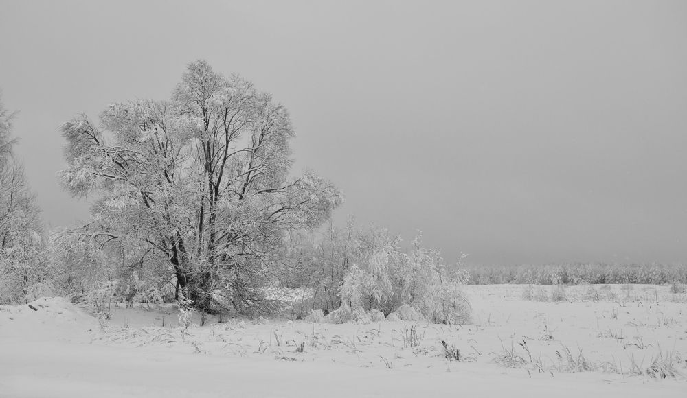Зима - волшебница.