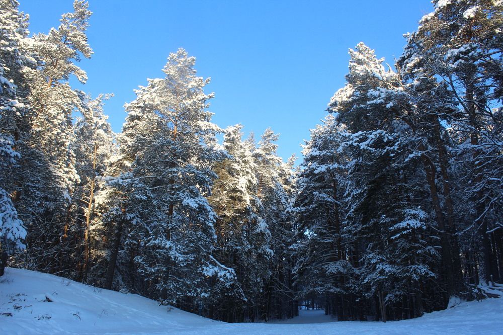 Photograph by Николай Леухин