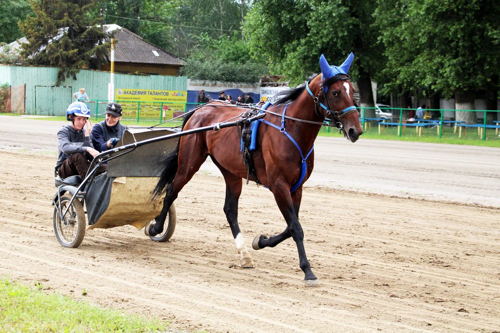 пробные гонки