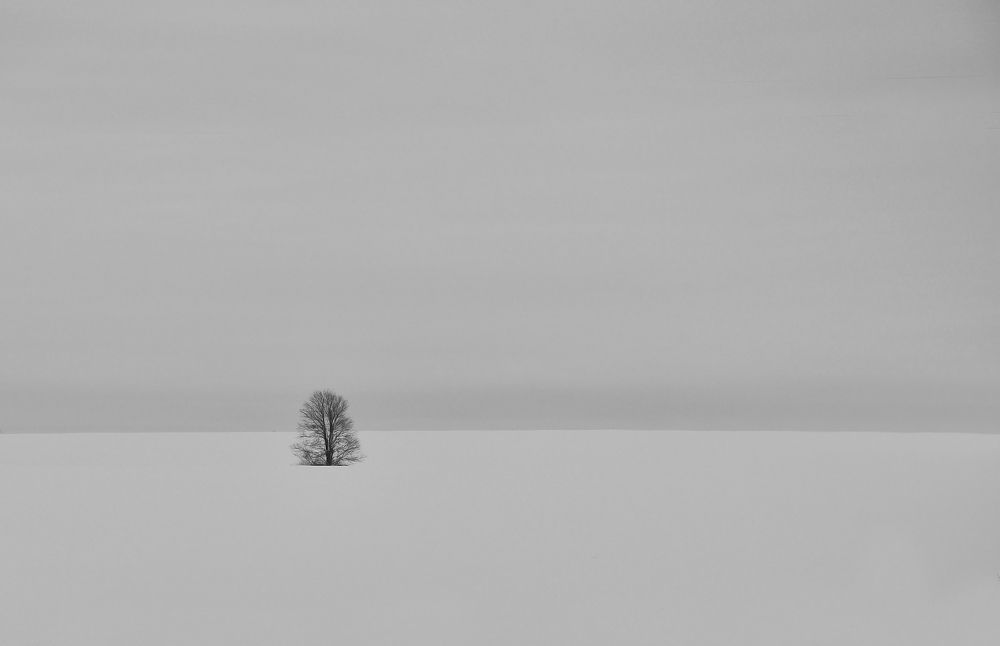 Зимнее одиночество.