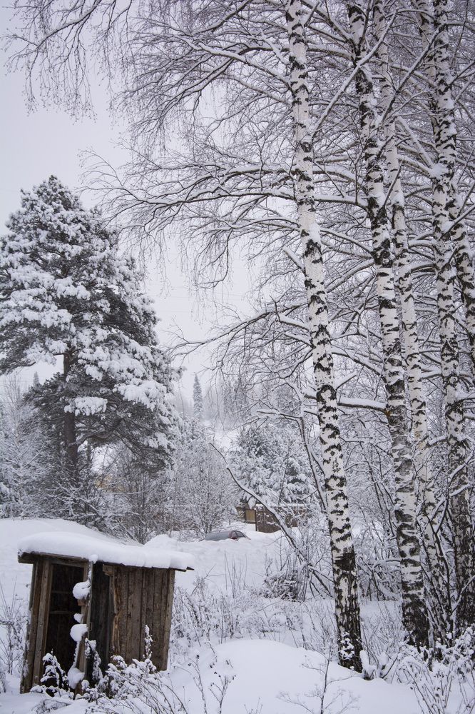 Фотография автора Злобин Сергей