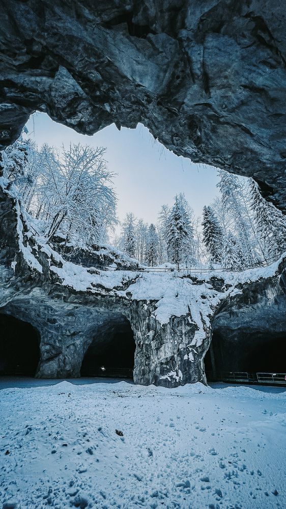 Photograph by Алена Жирова