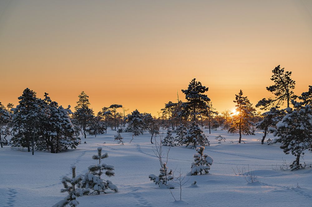 Photograph by Максим Зелянин