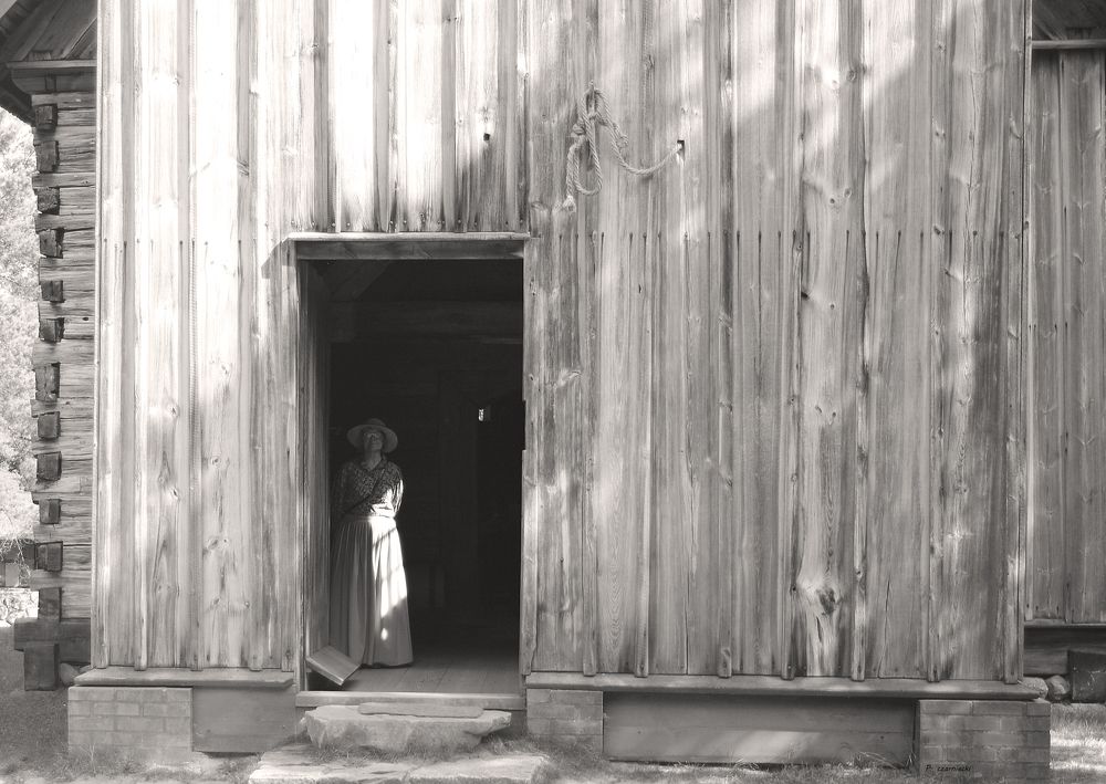 Фотография автора Piotr Czarniecki