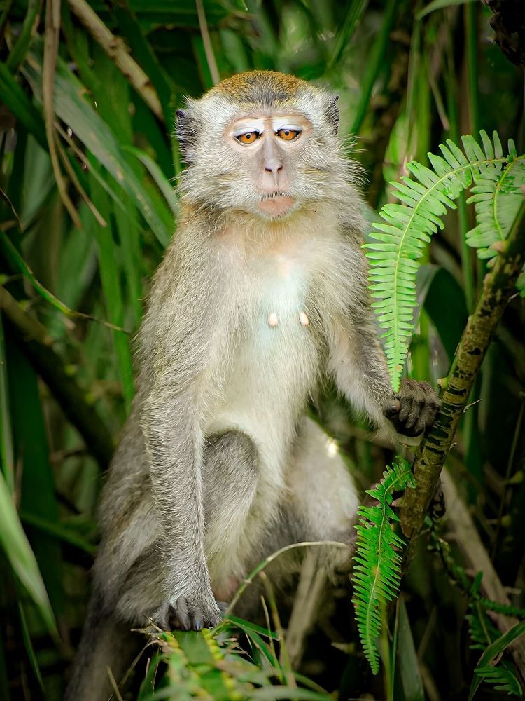 Photograph by Lee Yao Fui