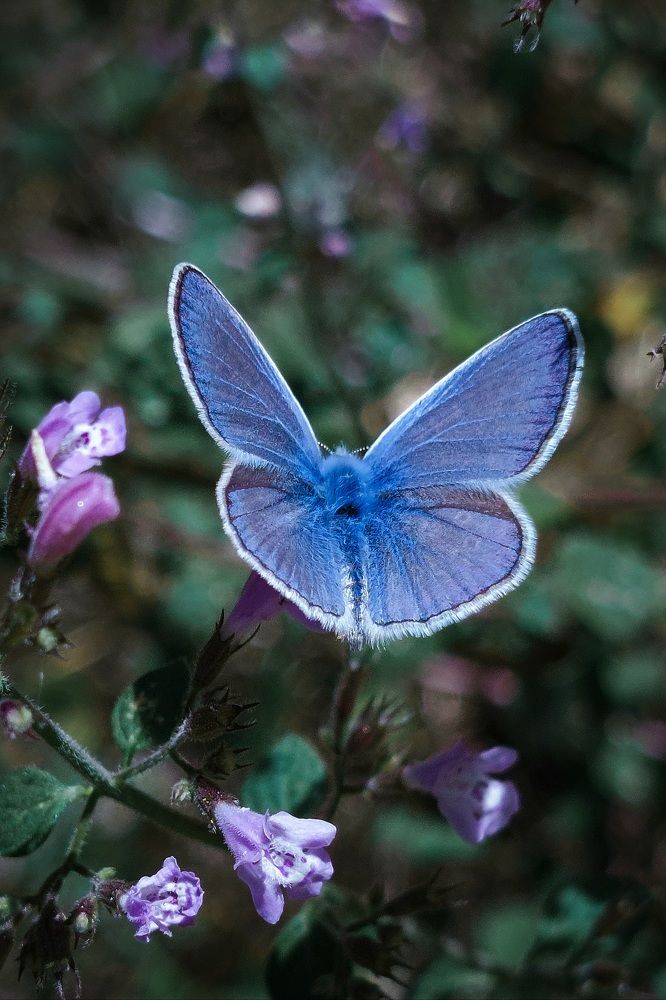 Фотография автора Vasilhs kolios