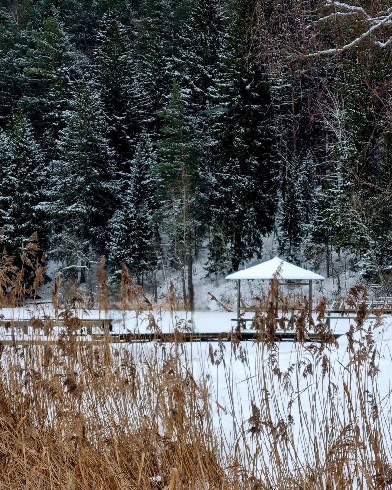 Photograph by Elena Tamošauskaite