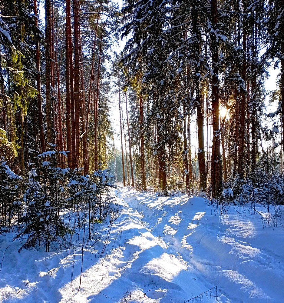 Photograph by натапов леонид