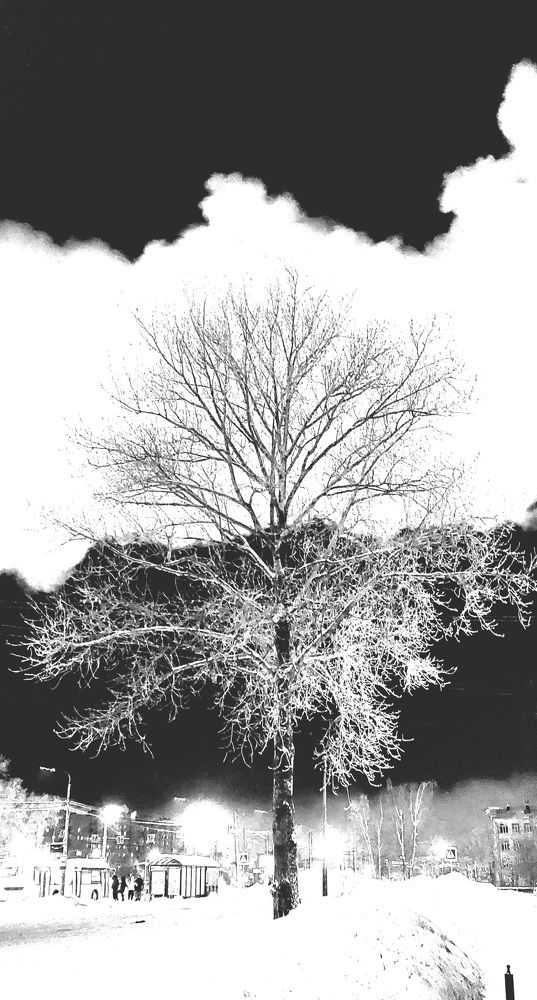 Фотография автора Егоров Максим