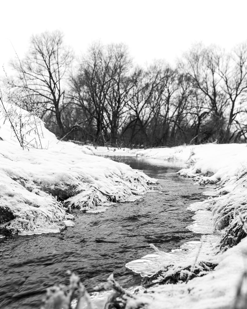 Photograph by Владимир Охрименко