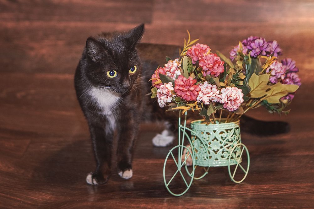 Photograph by Татьяна Нестеренко