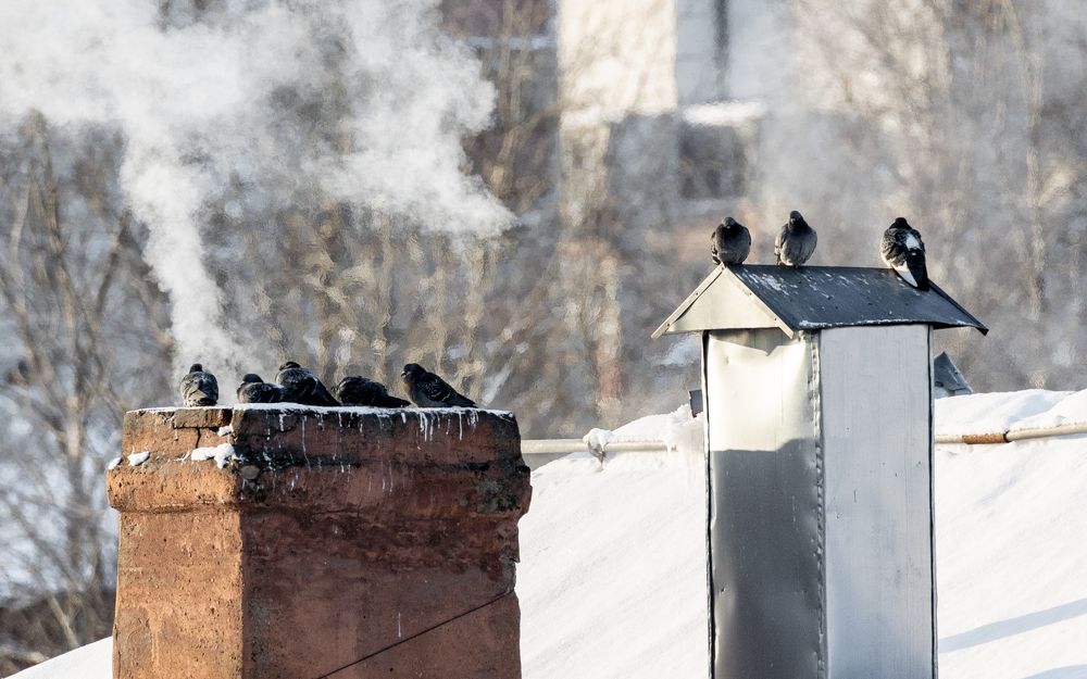 Photograph by Владимир Охрименко