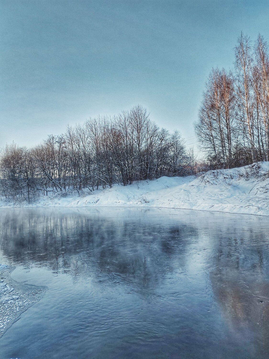 Photo #10076903