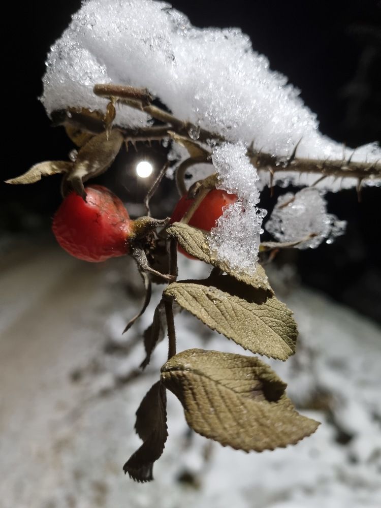 Photograph by Максим