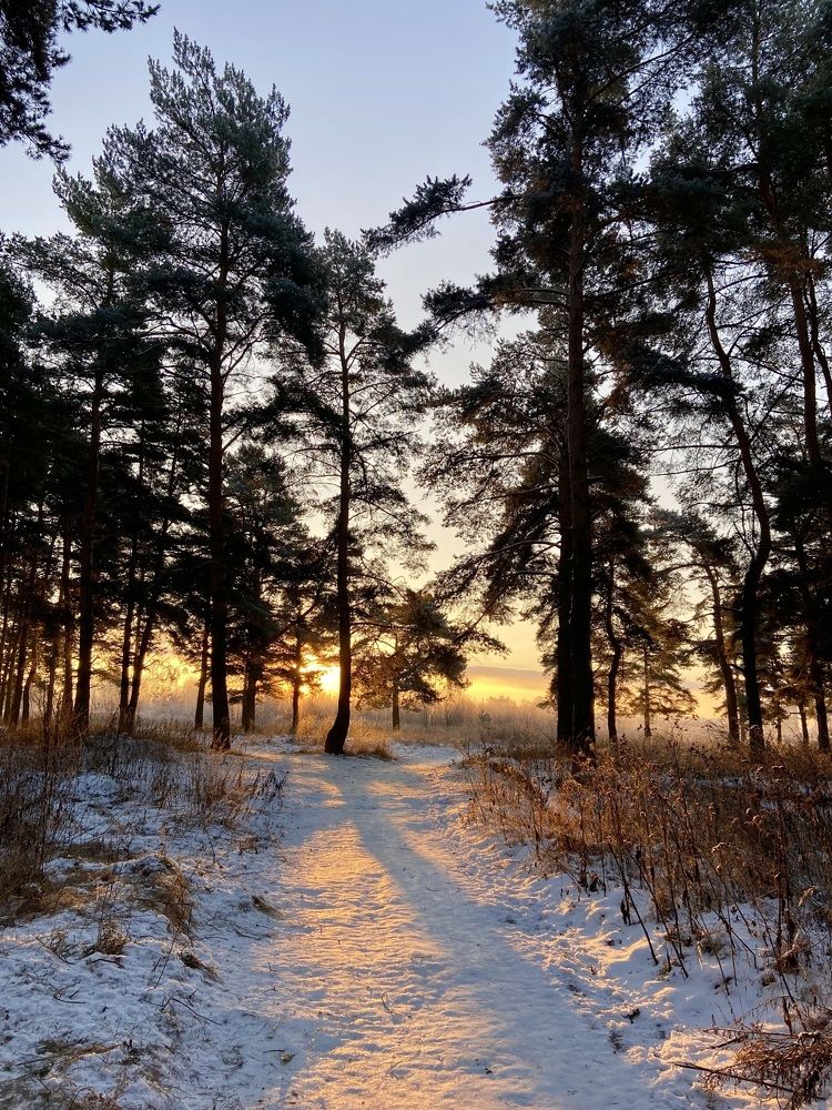 Photograph by Елена Макшеева