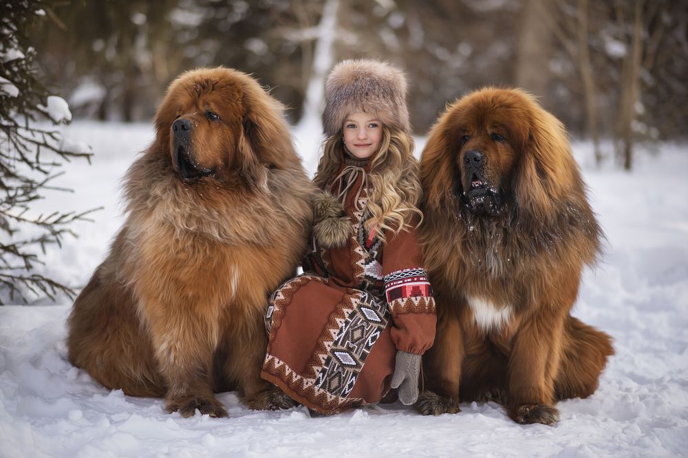 Photograph by Екатерина Григорьева