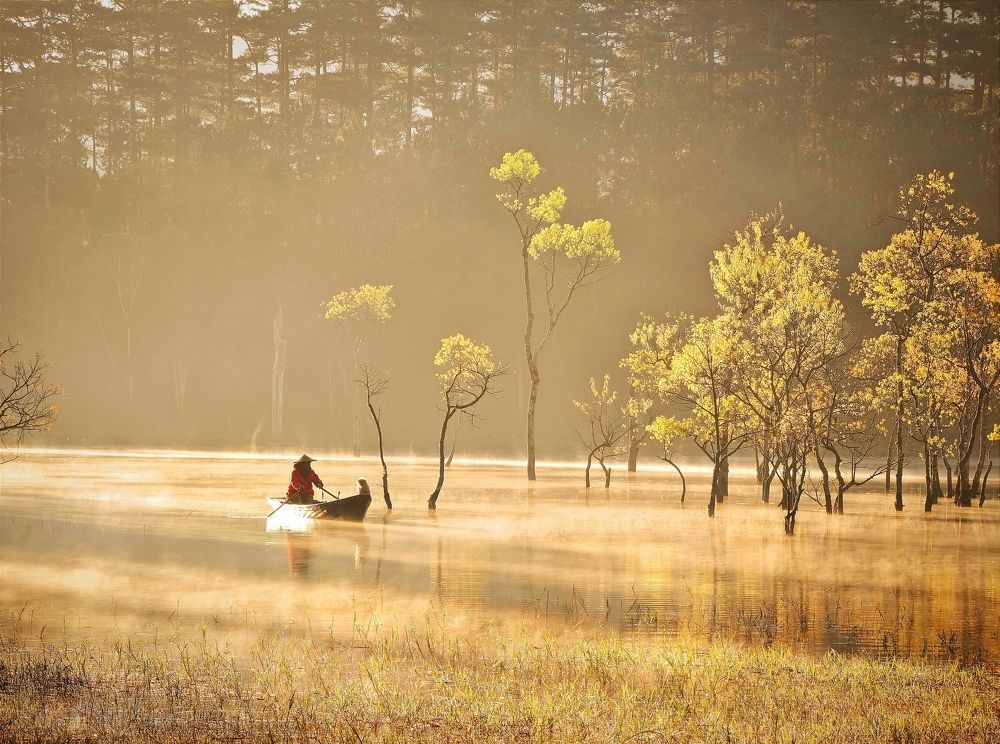 Photograph by Tran Phuong