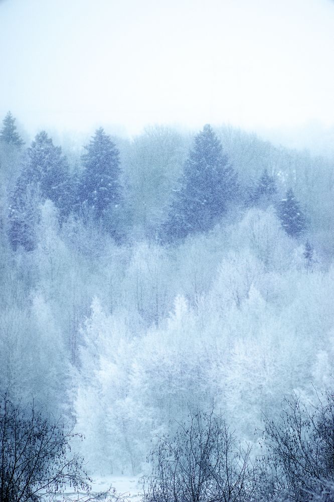 Photograph by Александр Соловьев