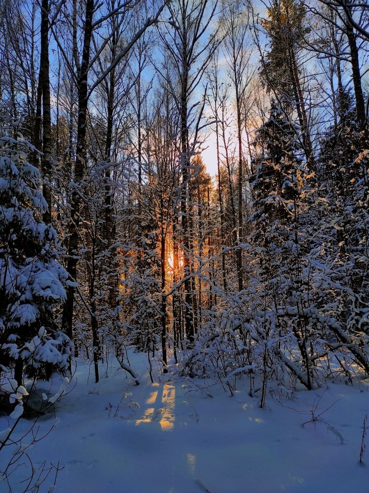 Photograph by Вероника Архипова