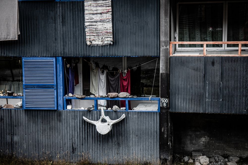 Фотография автора Linda Celis