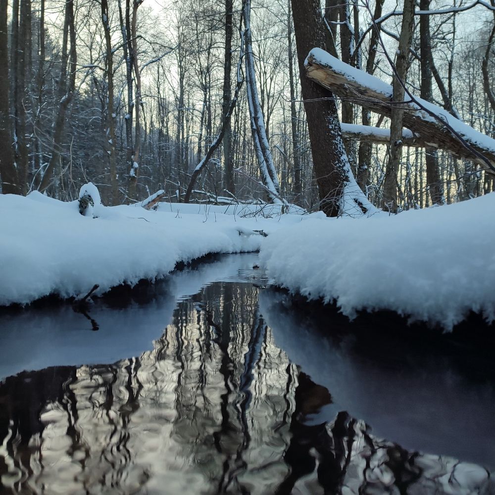Photograph by Сергей Симаков