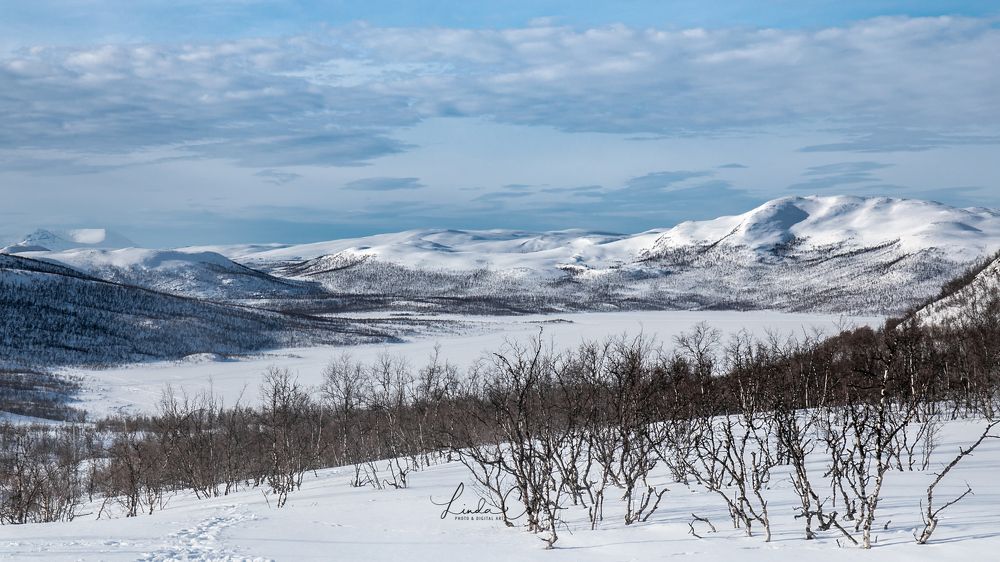Фотография автора Linda Celis