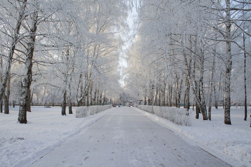 Фотография автора Дарья Рогозина