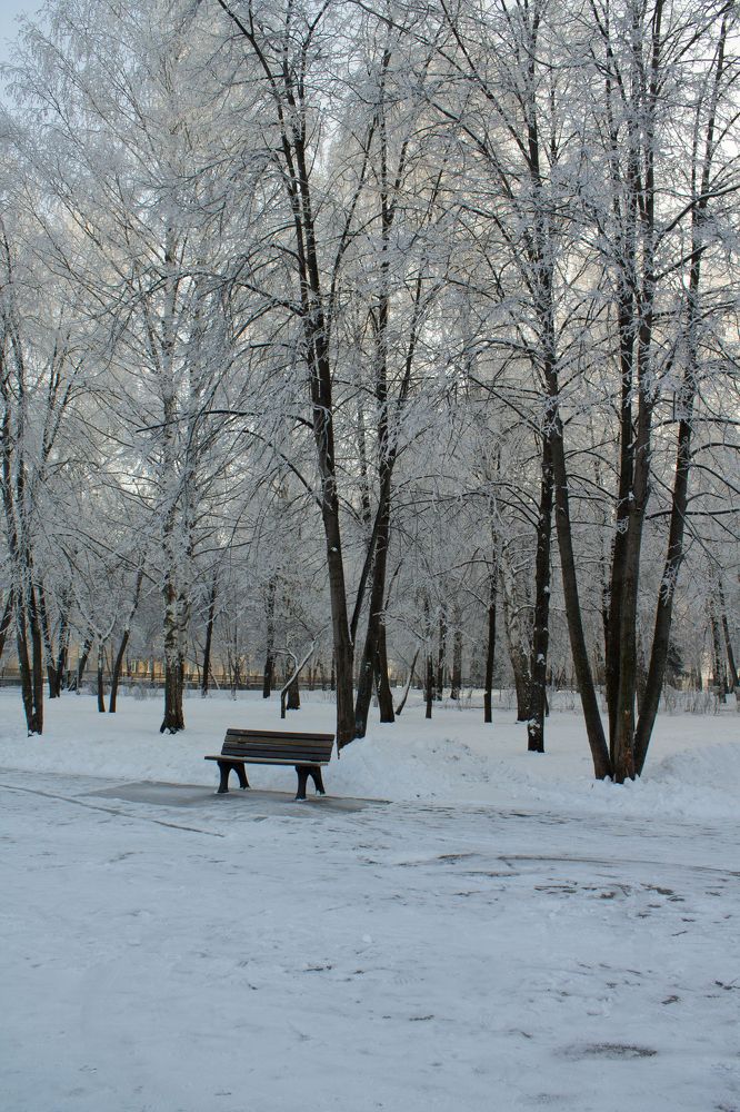 Фотография автора Дарья Рогозина