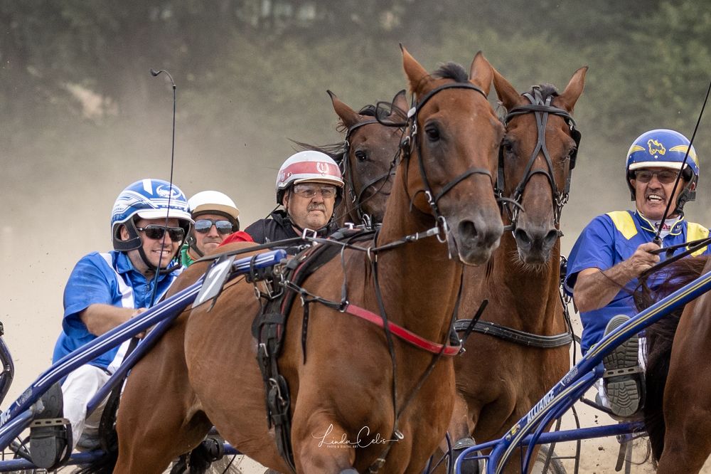 Фотография автора Linda Celis