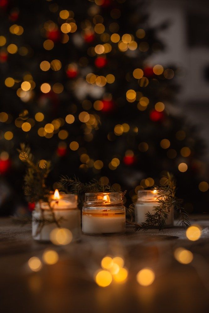 Photograph by Елена Щенина