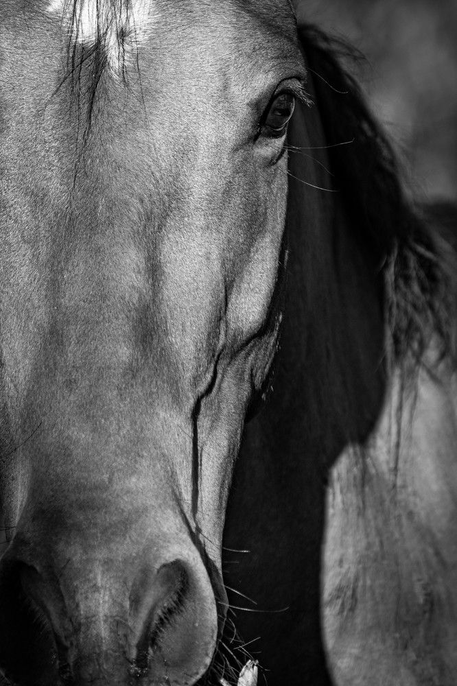 Фотография автора Maichel de Paula