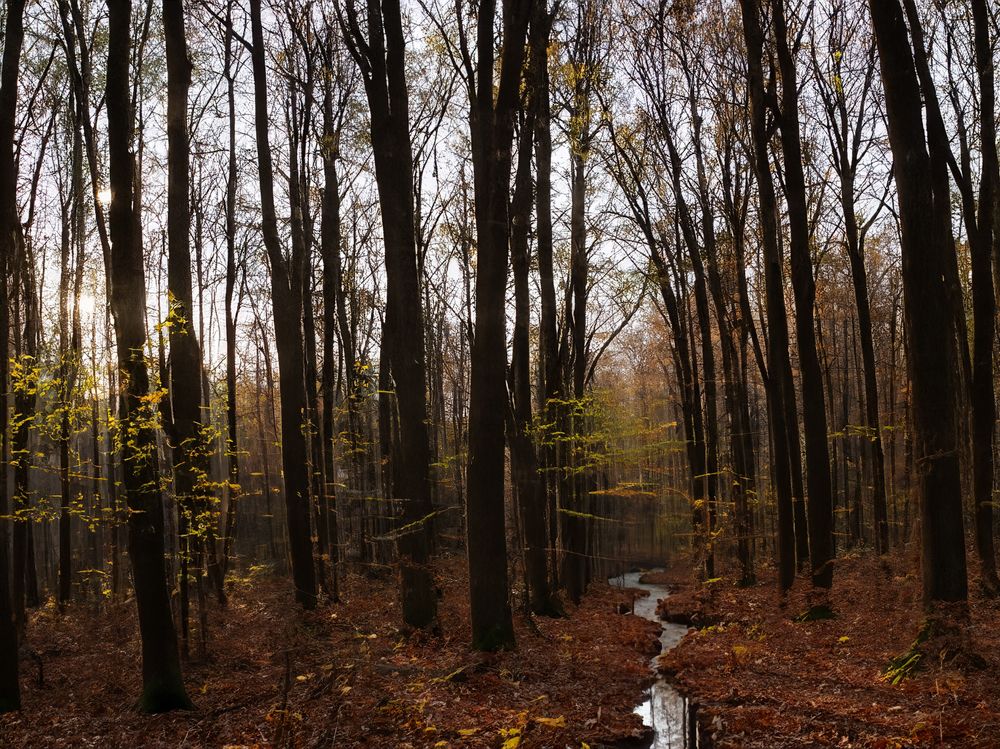 Photograph by Неведрова Ольга